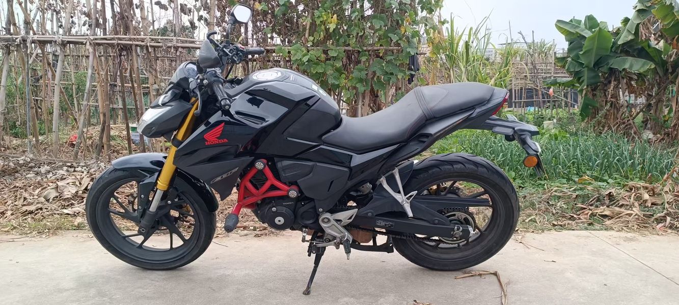 新大洲本田 CBF190R