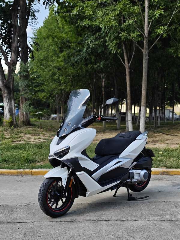 龙嘉 VMAX ie300