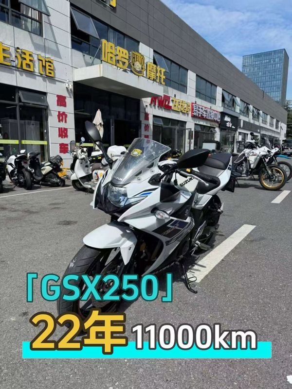 豪爵铃木 GSX250R