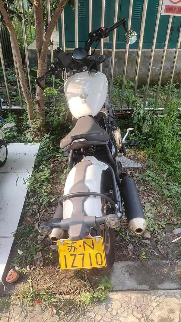 赛科龙 RA600