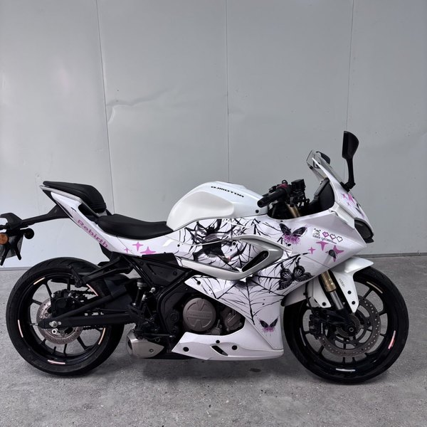 QJMOTOR 赛250