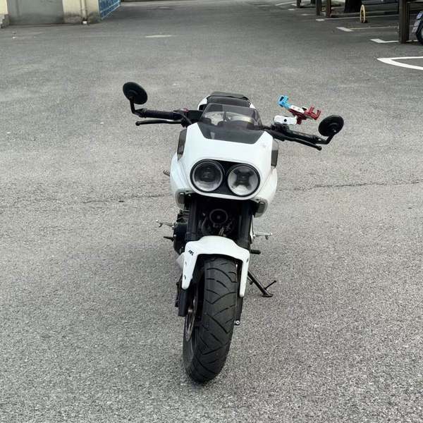 春风 XO狒狒