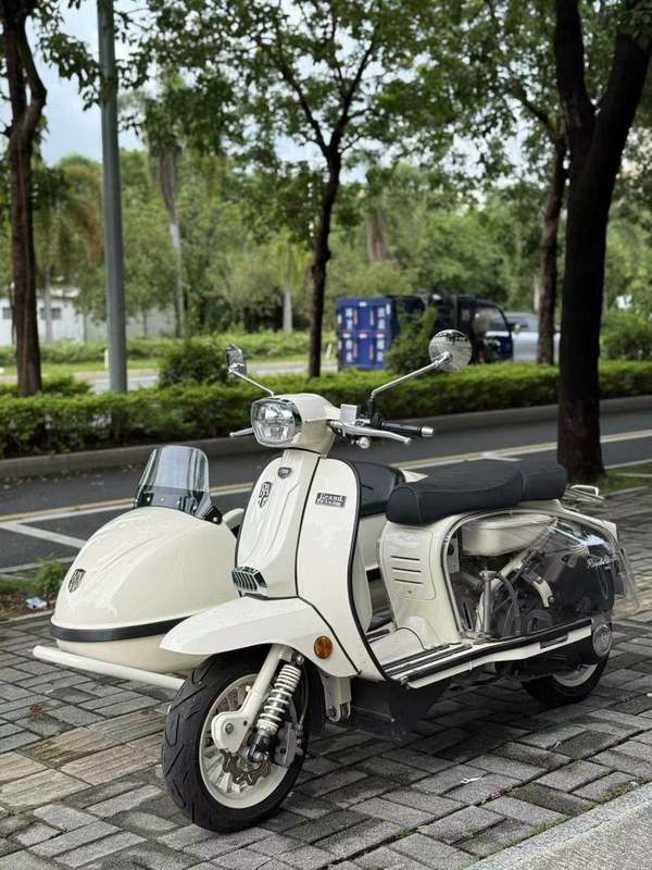 ROYAL ALLOY GP250 Sidecar