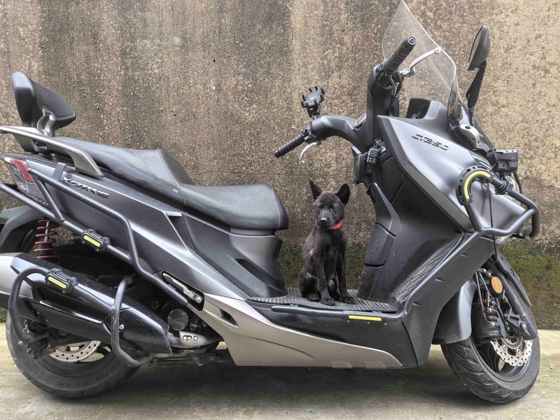 光阳 赛艇 CT250