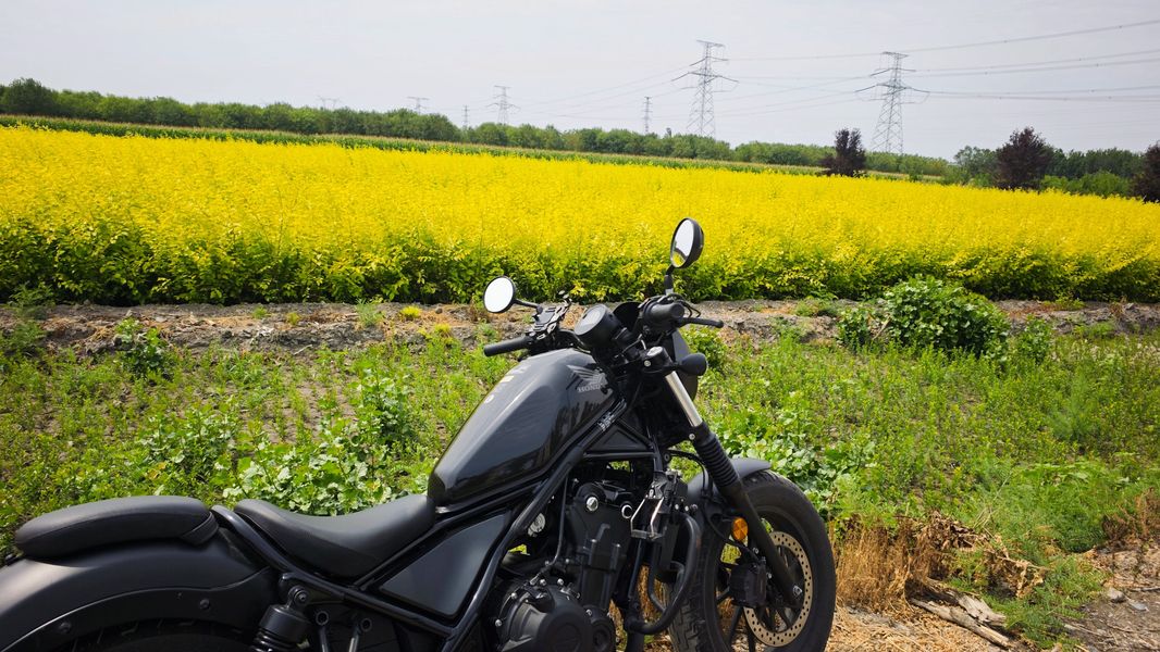 本田DREAMWING CM500