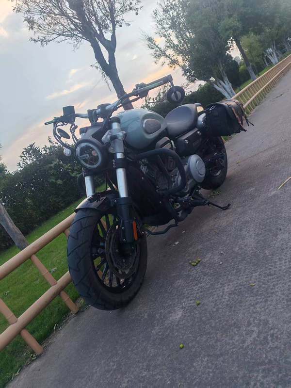 奔达 金吉拉300