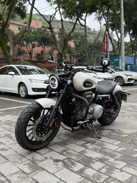 奔达 金吉拉300