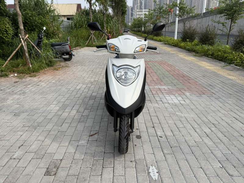 新大洲本田 NS125D