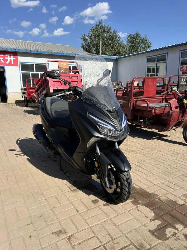 QJMOTOR 鸿250