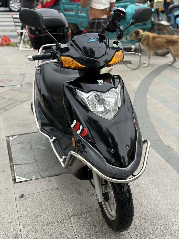 豪爵 新喜之星 100
