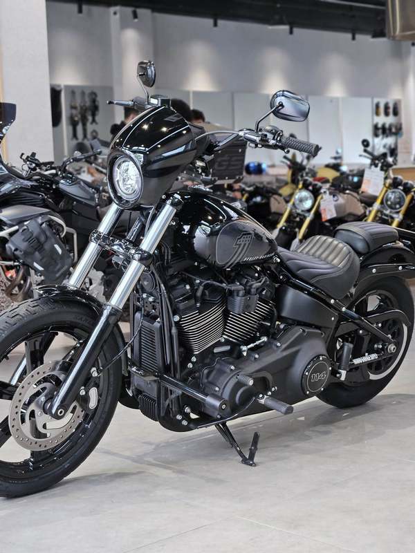 哈雷戴维森 街霸 Street Bob