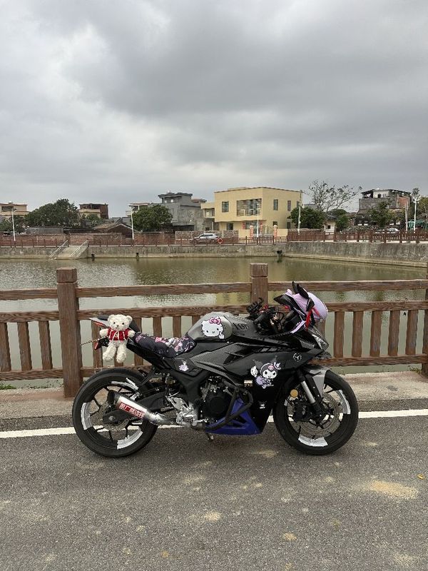 元图 GP250