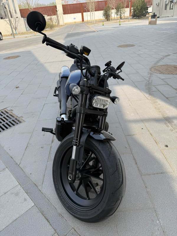 哈雷戴维森 Sportster S