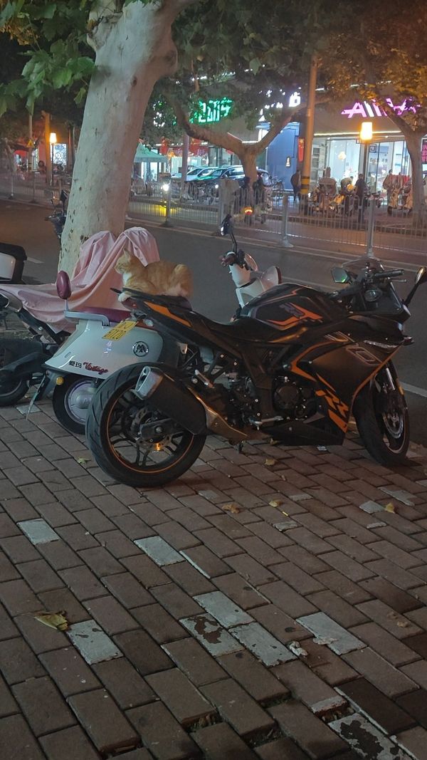 无极 300RR