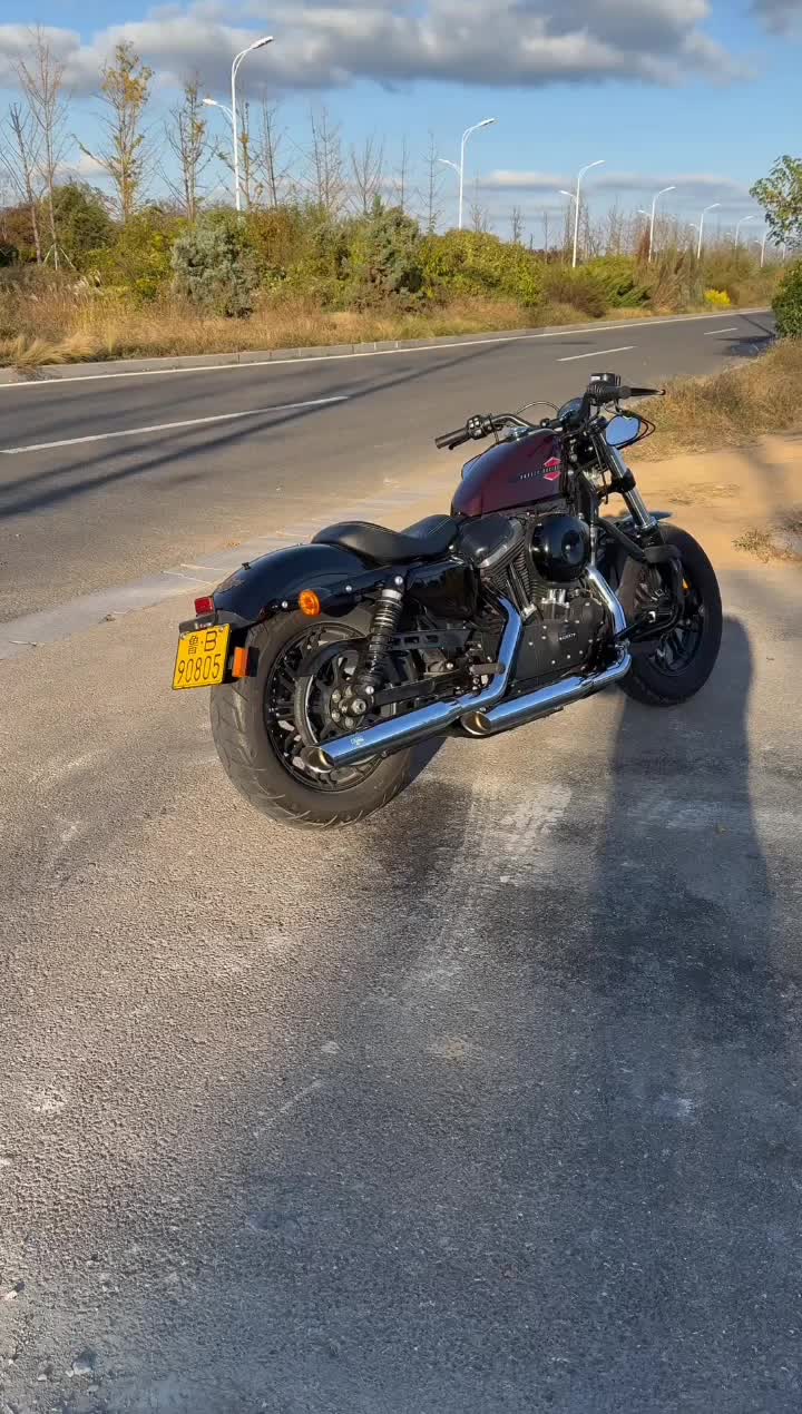 哈雷戴维森 XL1200X Forty-Eight
