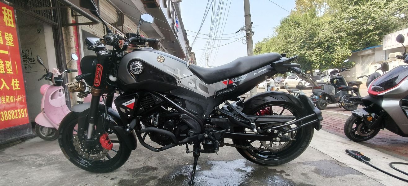 贝纳利 幼狮 Leoncino 250