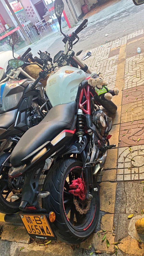 贝纳利 蓝宝龙 BN302S