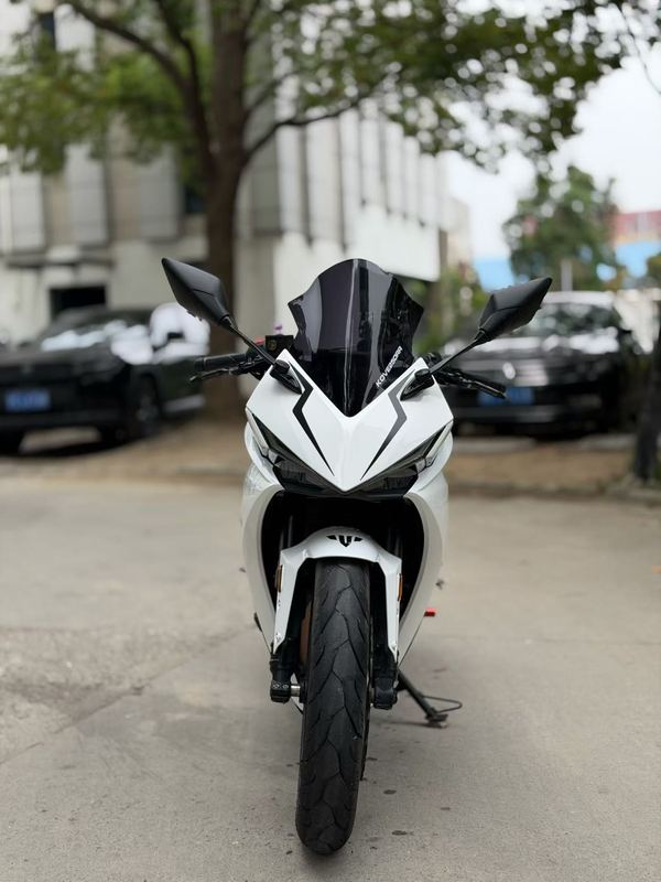 凯越 250RR 刺鸟