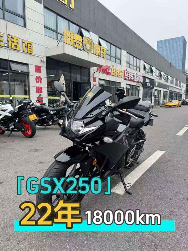 豪爵铃木 GSX250R