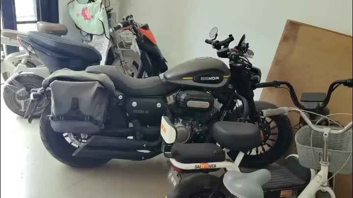 奔达 金吉拉300