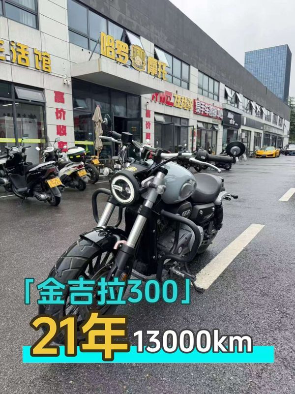 奔达 金吉拉300