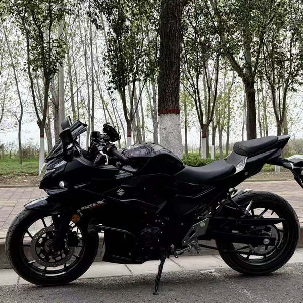豪爵铃木 GSX250R