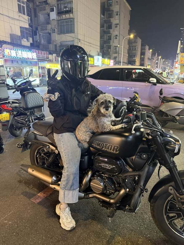 QJMOTOR 闪350