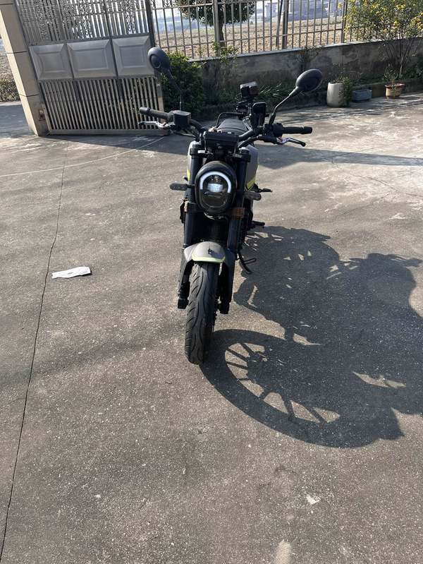 贝纳利 幼狮 Leoncino 250