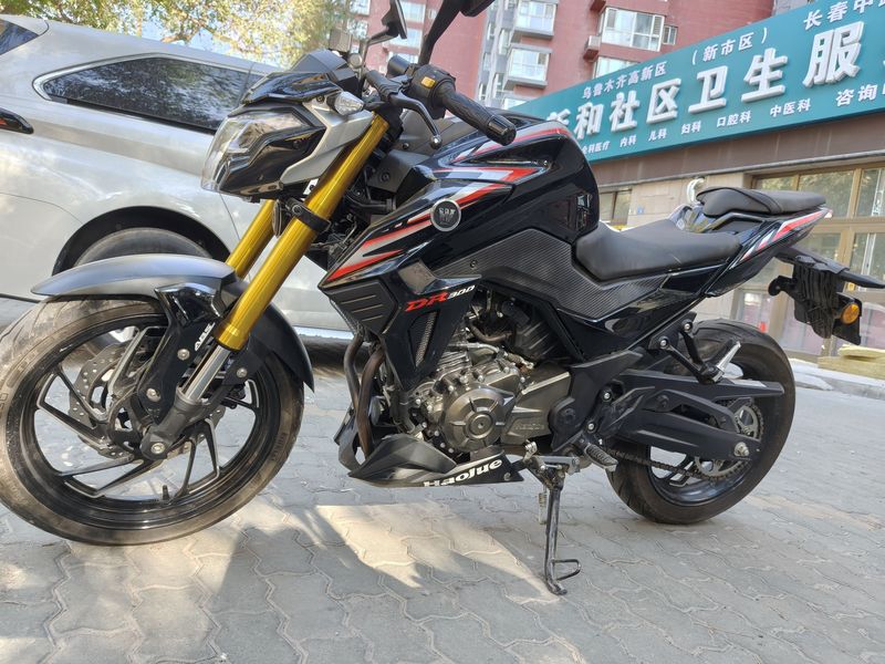 豪爵 DR300