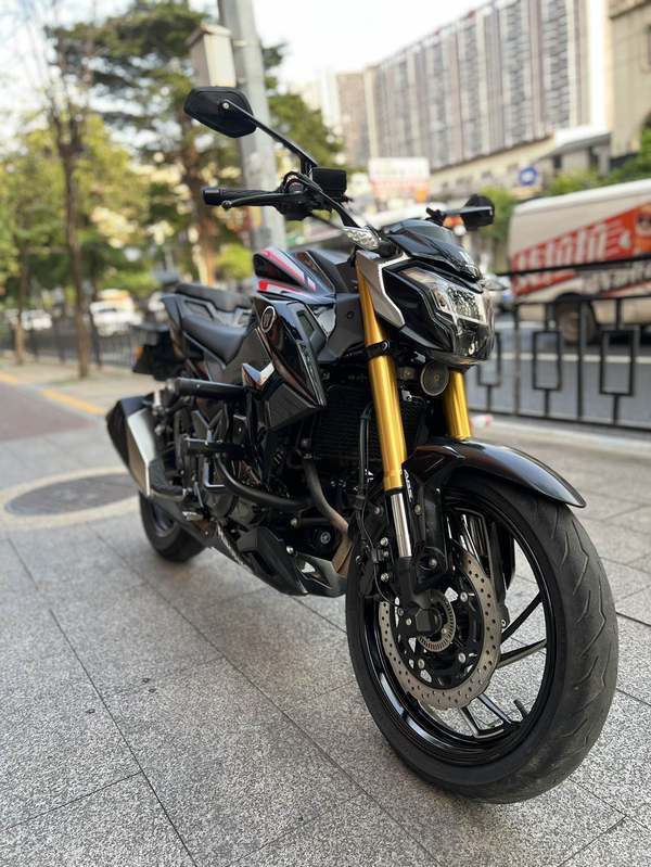 豪爵 DR300