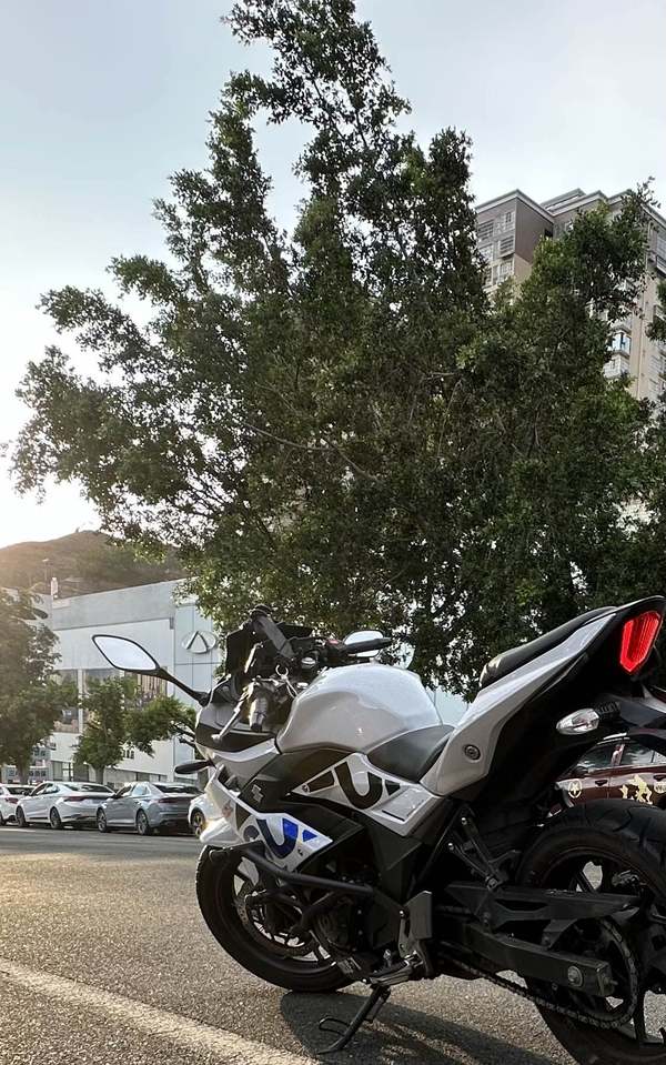豪爵铃木 GSX250R