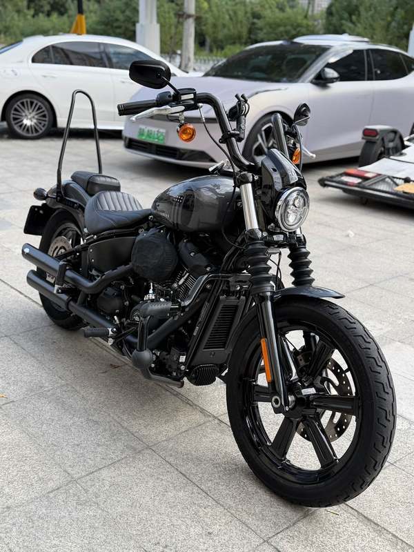 哈雷戴维森 街霸 Street Bob