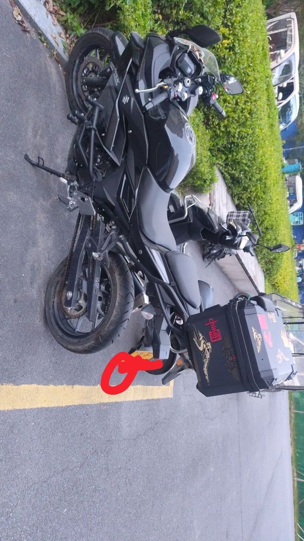 豪爵铃木 GSX250R