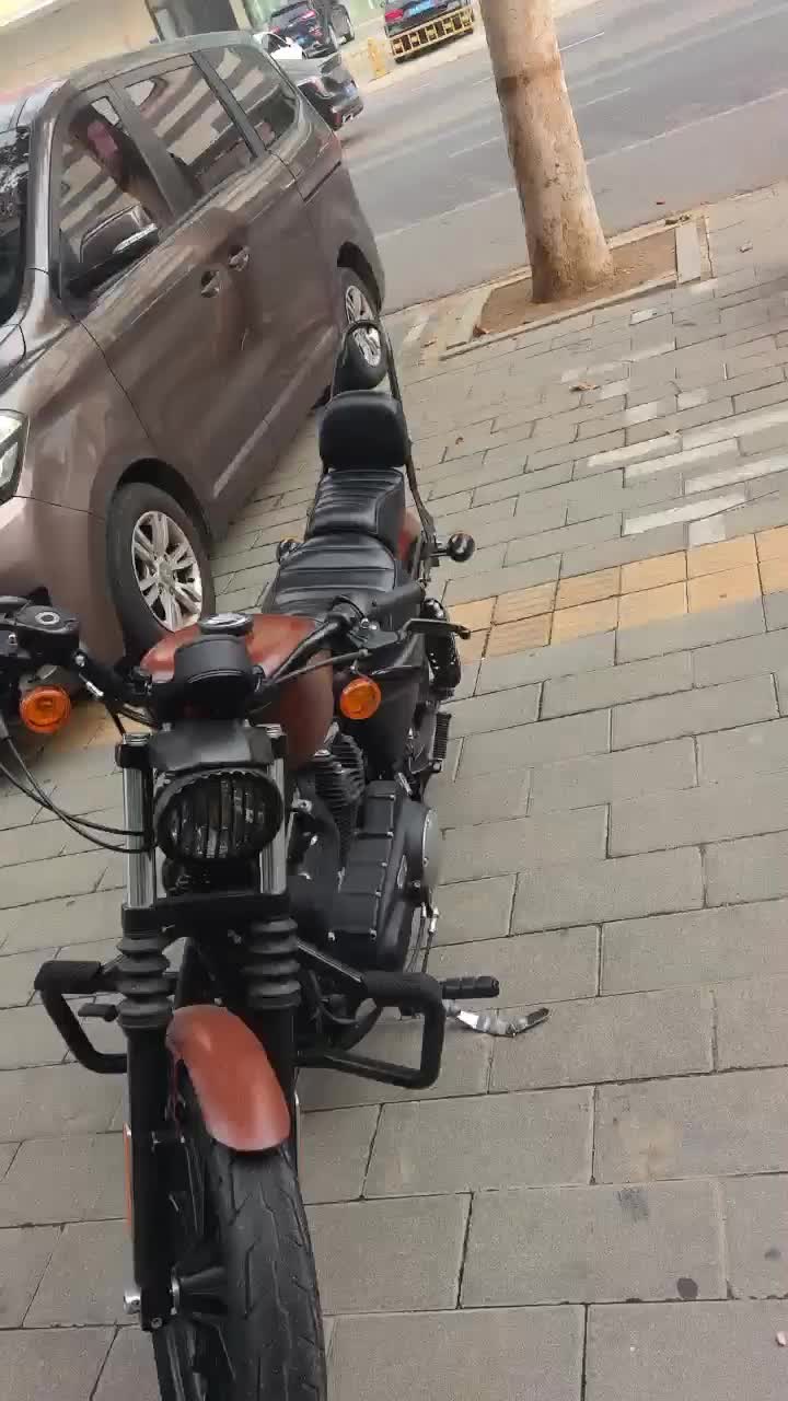 哈雷戴维森 Iron883 硬汉