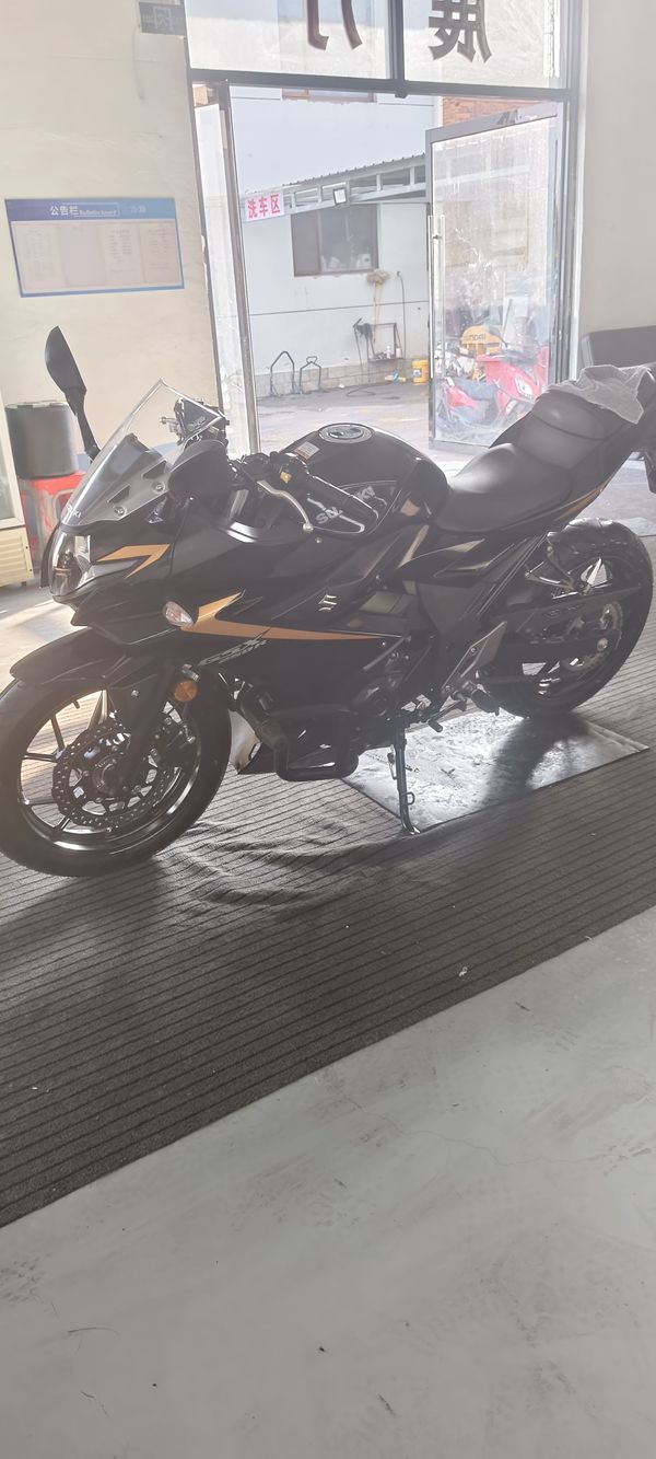 豪爵铃木 GSX250R