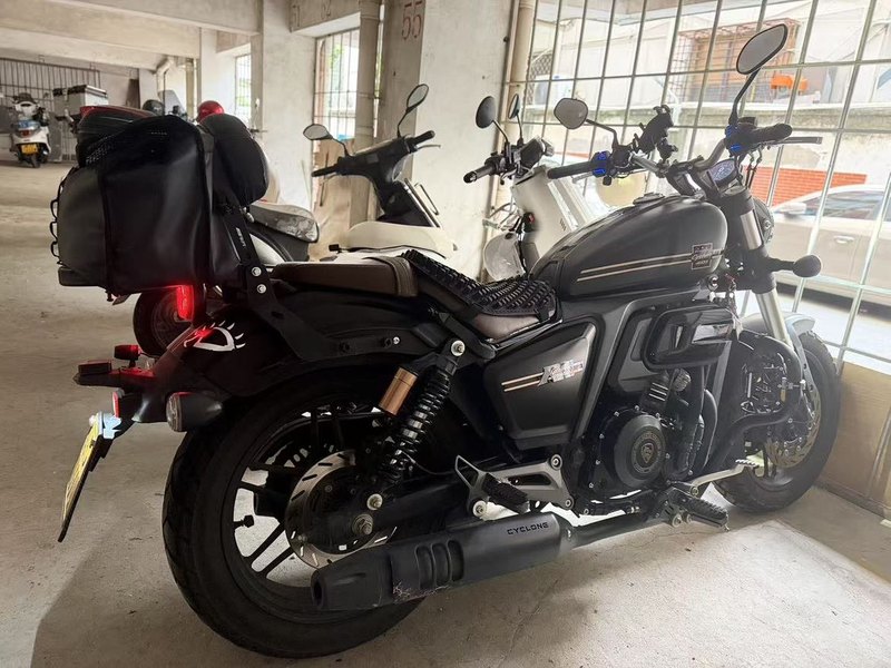 赛科龙 RA401