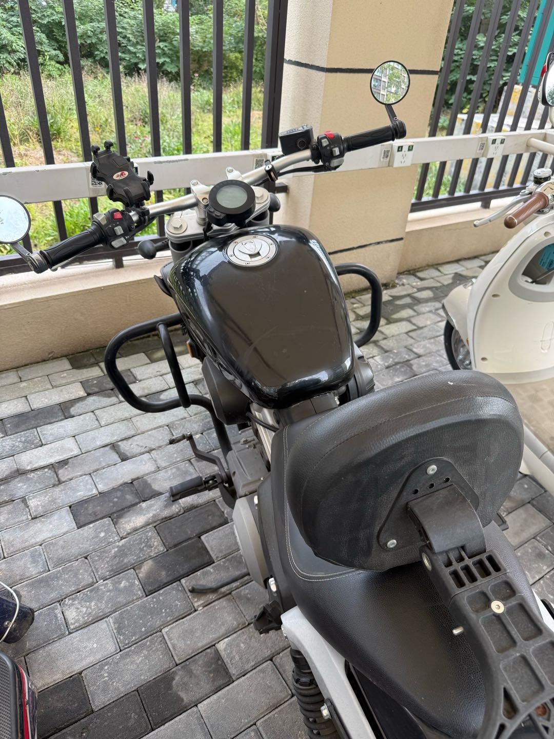 奔达 金吉拉300