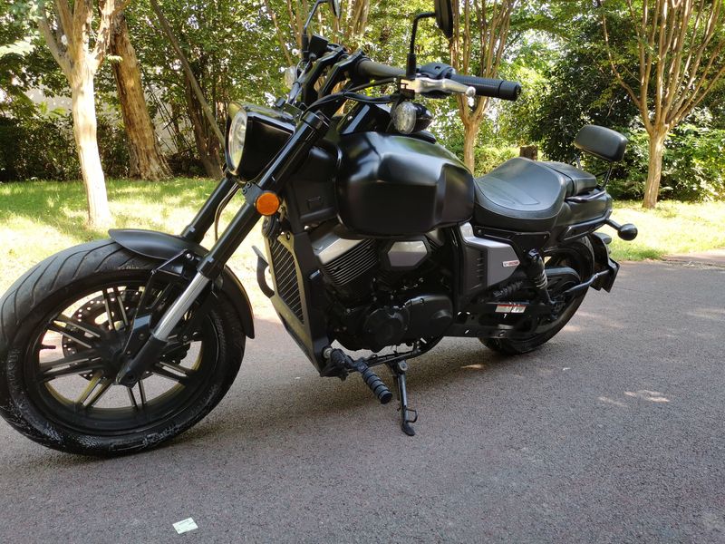 龙嘉 V霸250