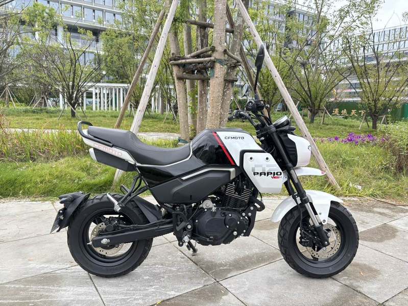 春风 XO狒狒