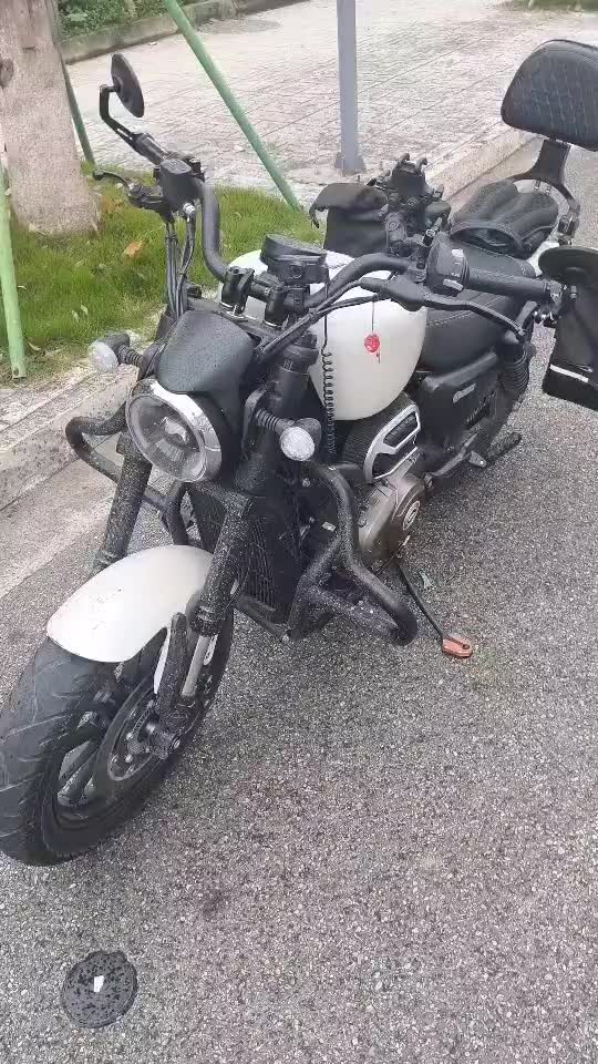 QJMOTOR 闪250