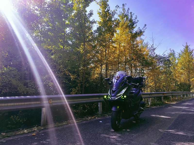 新大洲本田 PCX