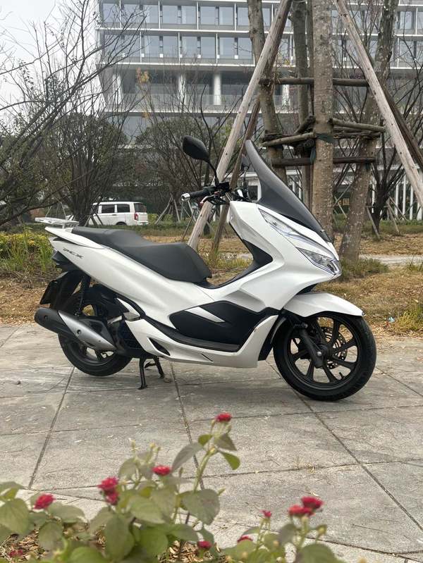 五羊本田 PCX