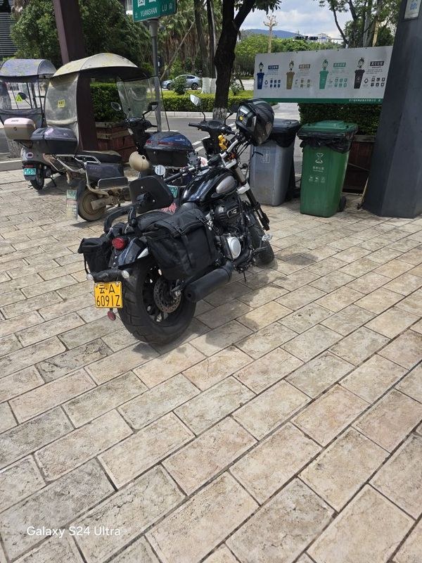 奔达 金吉拉300