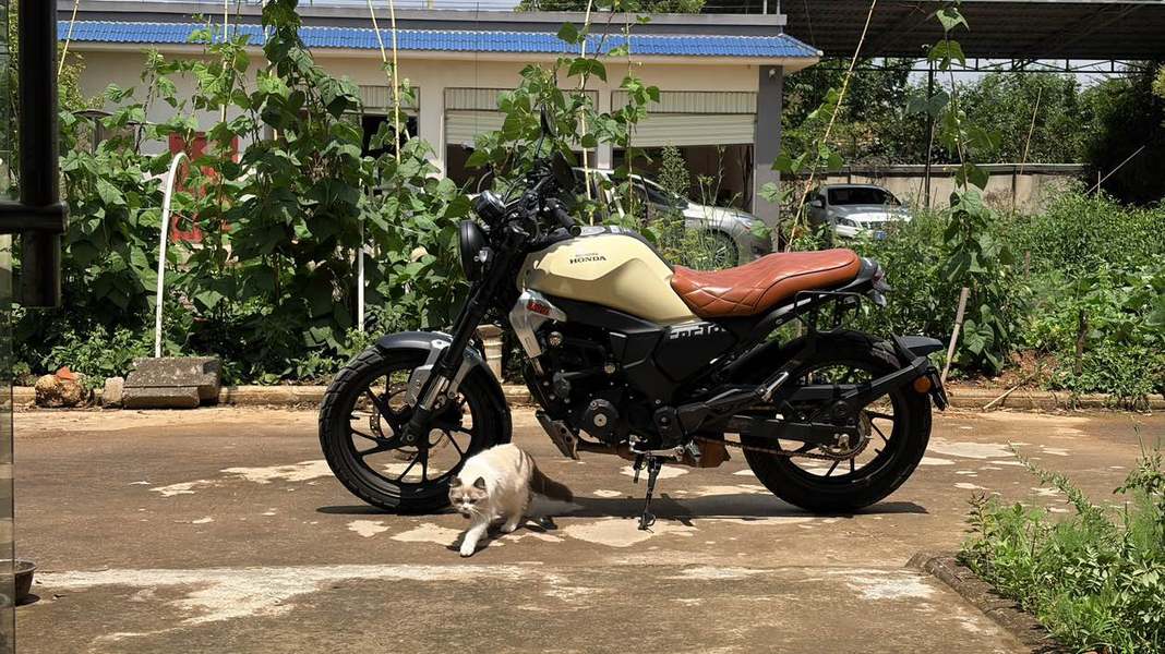 新大洲本田 CBF190TR