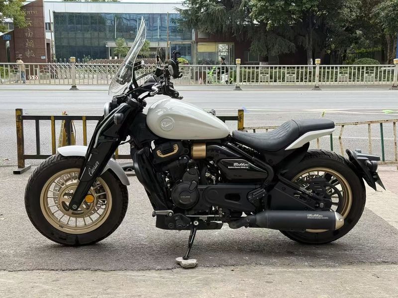 赛科龙 RA600