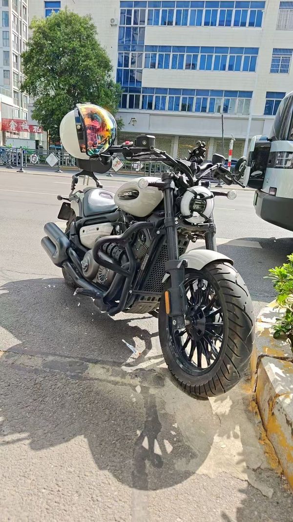 奔达 金吉拉350