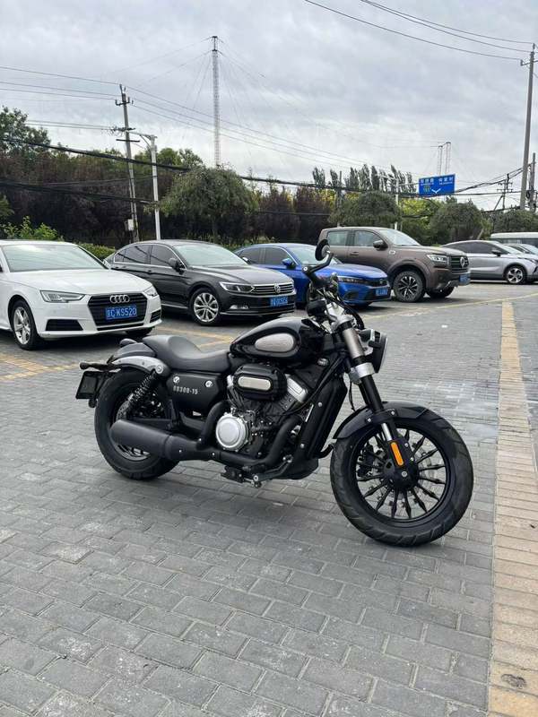 奔达 金吉拉300