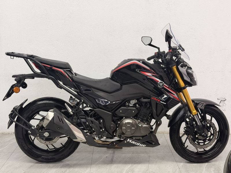 豪爵 DR300