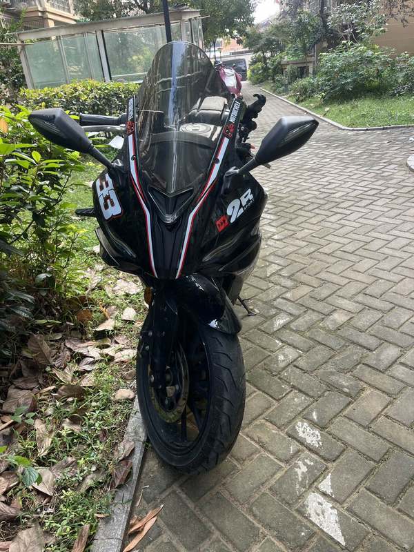山洋 SY250-H