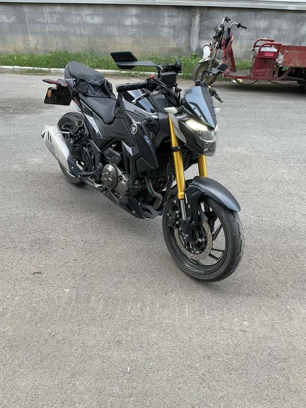 豪爵 DR250